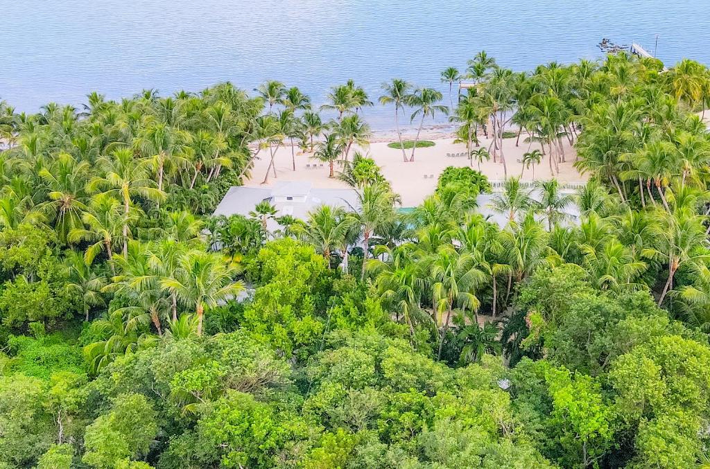 Island Palm Estate Islamorada updated Prices 2024 island-palm-estate-islamorada-updated-prices-2024