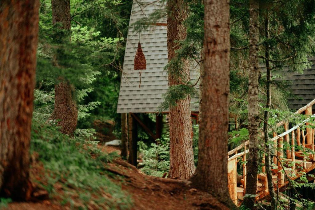 una casa en medio de un bosque con árboles en Cottage Galileo in Abastumani en Abastumani