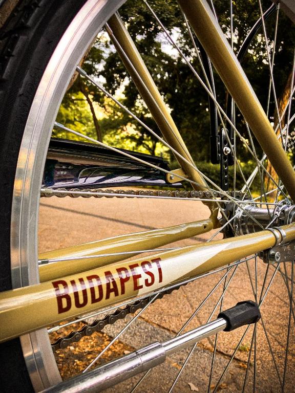 Jazda na bicykli v okolí ubytovania Mátyás Corner Apartments Family Comfort Apartment II.
