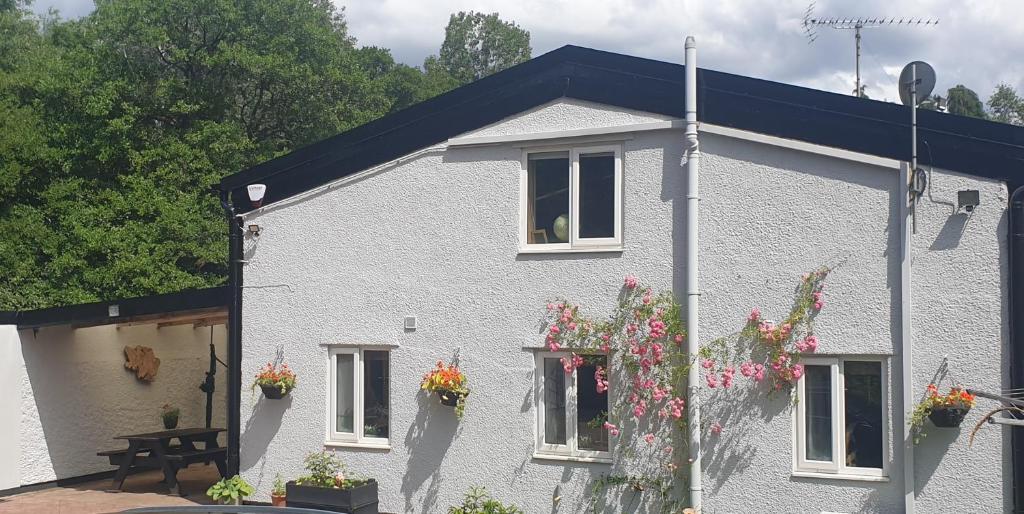 Quiet, countryside - Abergavenny, up to 4 guests, 2 bedrooms في أبرجافني: منزل أبيض مع الزهور في النافذة