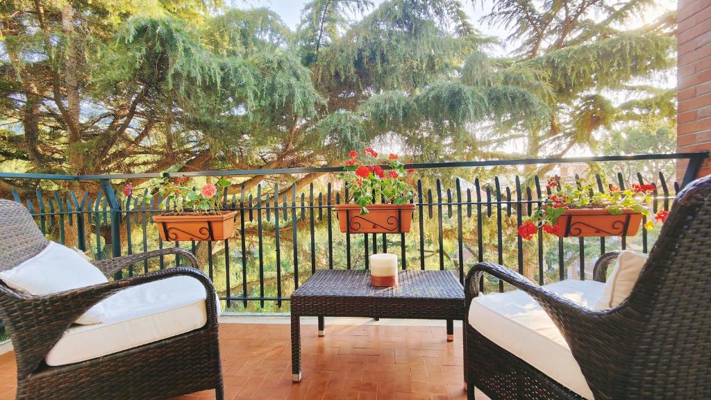 Pines apartment Sorrento, Sorrento (updated prices 2024)