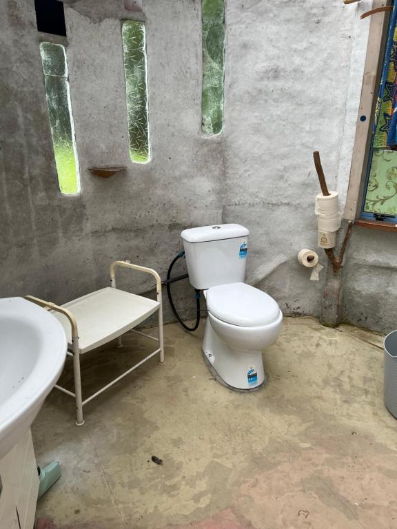 ein Bad mit einem WC und einem Waschbecken in der Unterkunft Akerama farm stay in Hukerenui