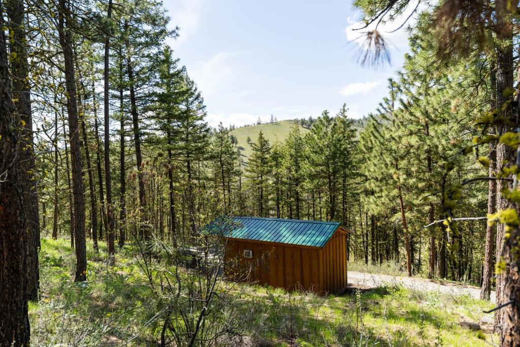 a smallshed in the middle of a forest at Echo Valley Resort + Cabins in Manson