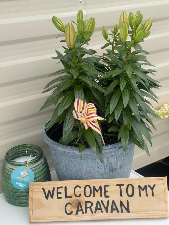 a plant in a pot with a welcome to my caravan sign at The Hideaway Cabin in Seasalter