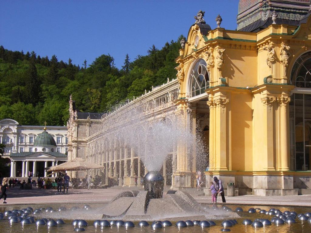 Hotel Maxim - Resim 16