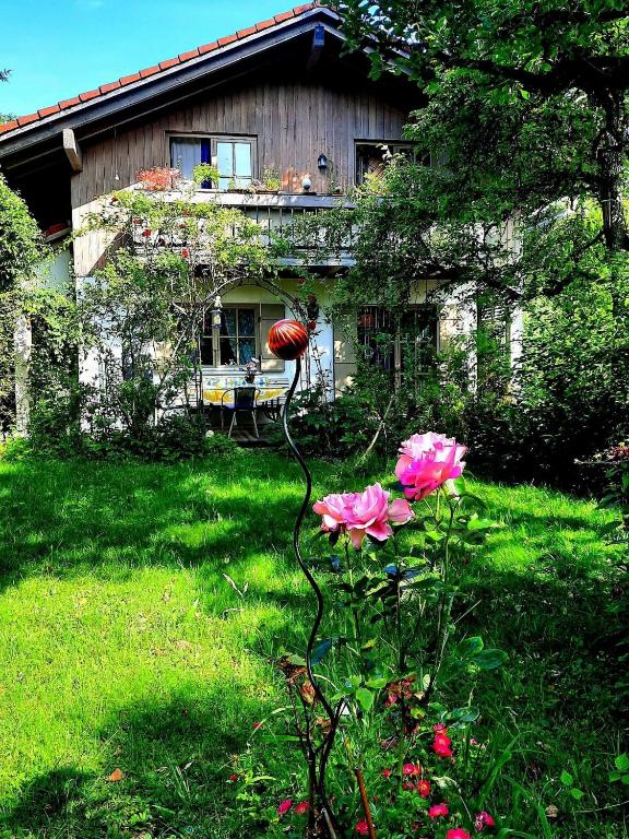 a pink flower in front of a house at Ferienhaus Graziadei in Grassau