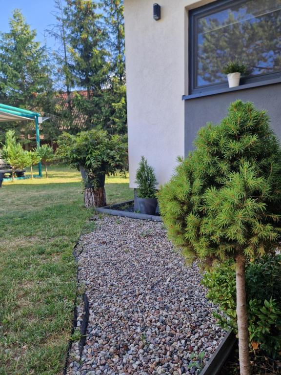 Vonkajšia záhrada v ubytovaní Domek Adam - Kozy