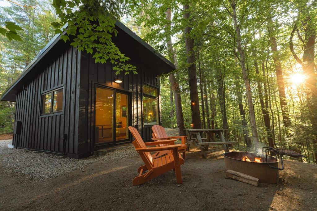 Modern Luxurious Cabin in the Woods 01, Freeport (updated prices 2024)