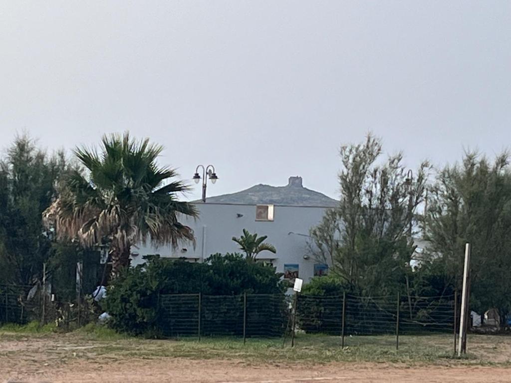 a white house with a palm tree and a fence at Villino luca in Isola delle Femmine