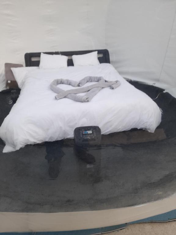 Postel nebo postele na pokoji v ubytování Nuit insolite dans une bulle avec jacuzzi privatif
