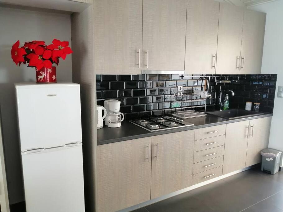 Kuchyň nebo kuchyňský kout v ubytování Manolis Loft