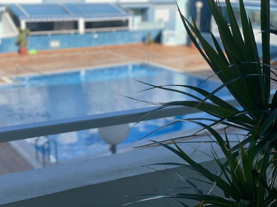 una gran piscina con una maceta al lado en Espacio tranquilo cerca del mar, en Santa Cruz de Tenerife