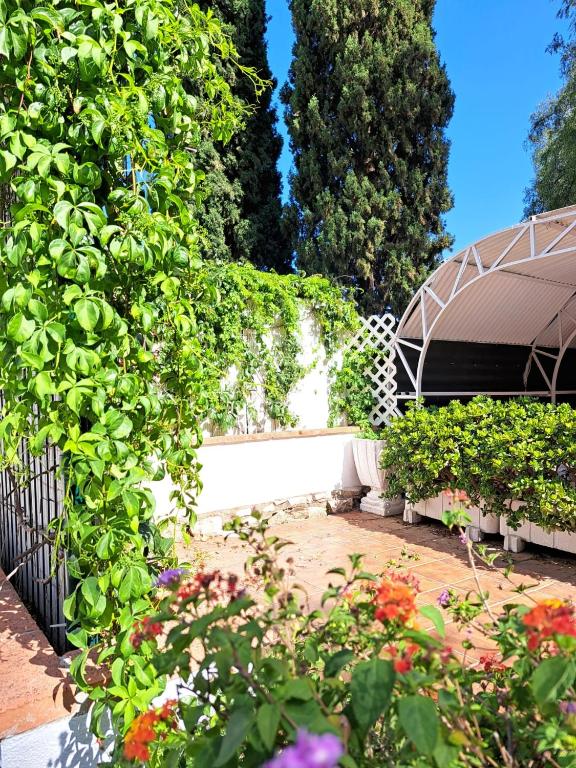 Vonkajšia záhrada v ubytovaní Casa Campo Mijas Costa Del Sol