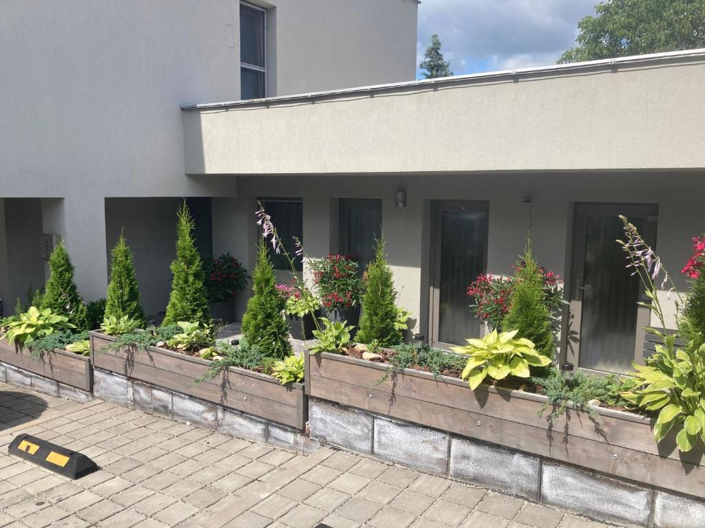 Zahrada ubytování Apartmány I - KAfe Bojnice