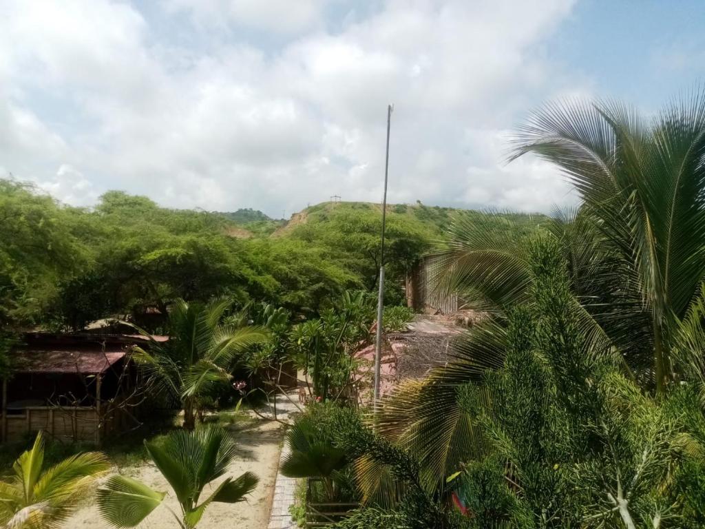 uma estrada de terra através de uma selva com palmeiras em La Casa de Diego em Zorritos