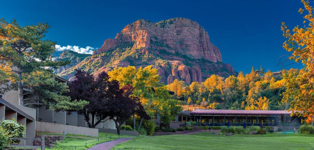 a mountain in the distance with a building and trees at Poco Diablo Resort in Sedona