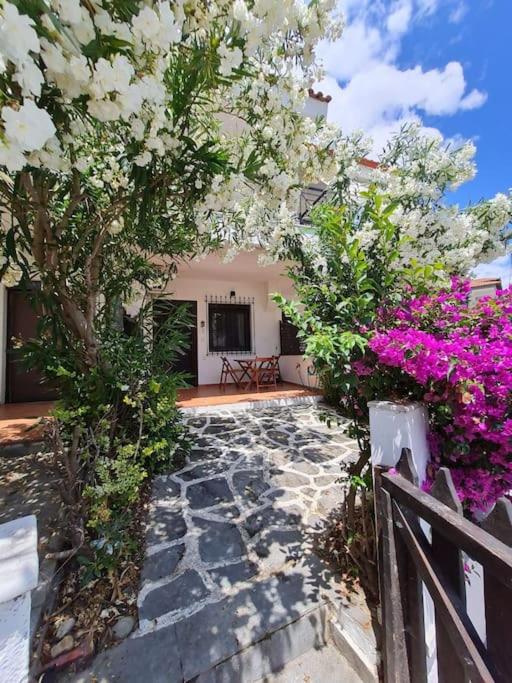 COZY Apartment 'Casa Despoina' at the BEACH, Nikiti (updated prices 2024)