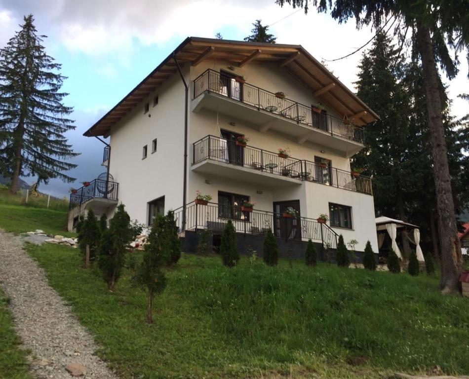 een groot wit huis bovenop een heuvel bij Casa dintre Brazi in Statjunea Borsa