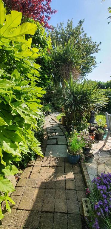 Fotografie z fotogalerie ubytování 124 ,Castlelawn Heights, Headford road Galway Homestay v destinaci Galway