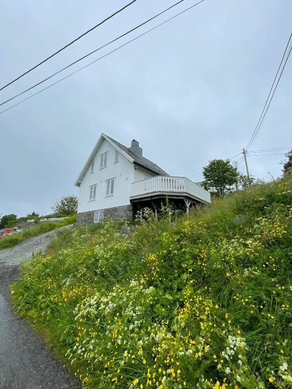 a white house on top of a hill with flowers at Stasjonen - Sørvågen in Moskenes