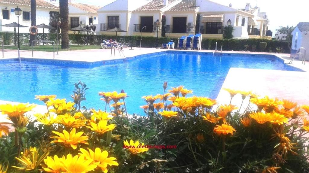 a pool with yellow flowers in front of a house at Apartamentos Vera Coast in Vera