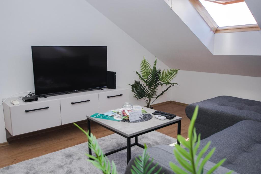 TV a/nebo společenská místnost v ubytování Apartman 21