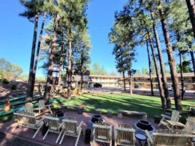 a group of tables and chairs in a park with trees at The Nook Pinetop in Pinetop-Lakeside