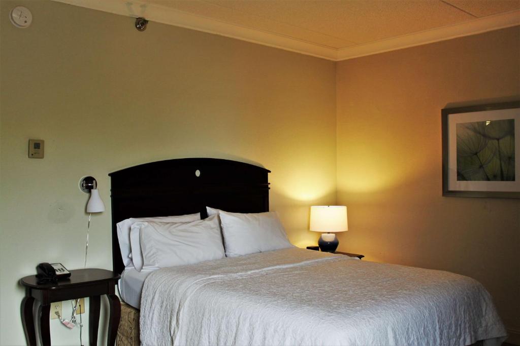 Hampton Inn Americus - クイーンルーム（禁煙）