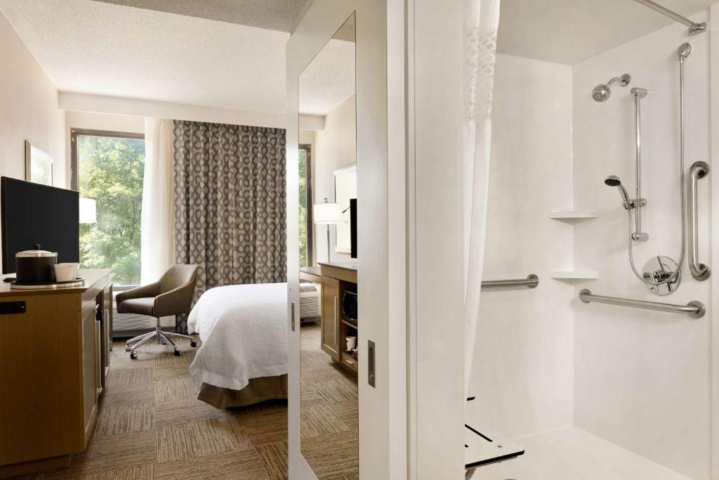 Hampton Inn Atlanta-Buckhead - 