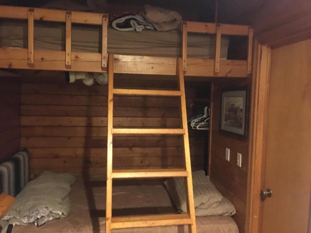 Etagenbett mit Leiter in einem Zimmer in der Unterkunft Cabin 1. For freedom loving simple not picky people. Rental cars available. in Custer