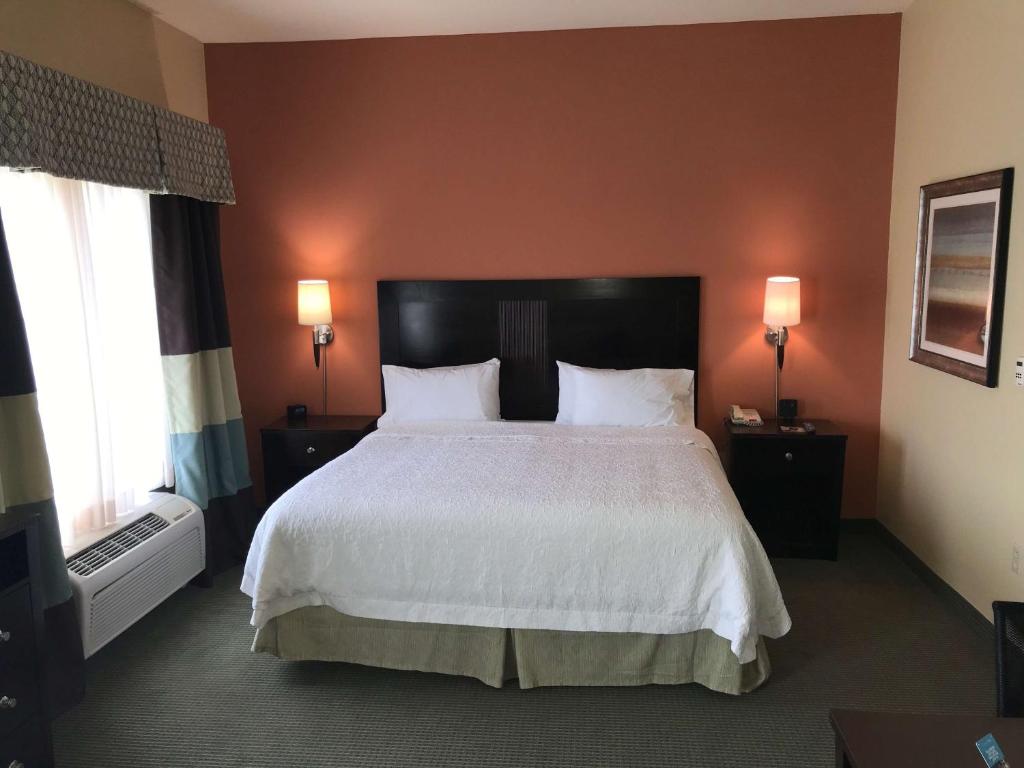 Hampton Inn and Suites Austin - Lakeway - Suite Estudio Con Cama Extragrande - No Fumadores