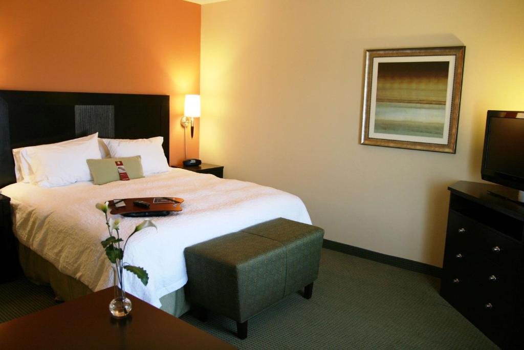 Hampton Inn and Suites Austin - Lakeway - Camera King Deluxe - Non Fumatori