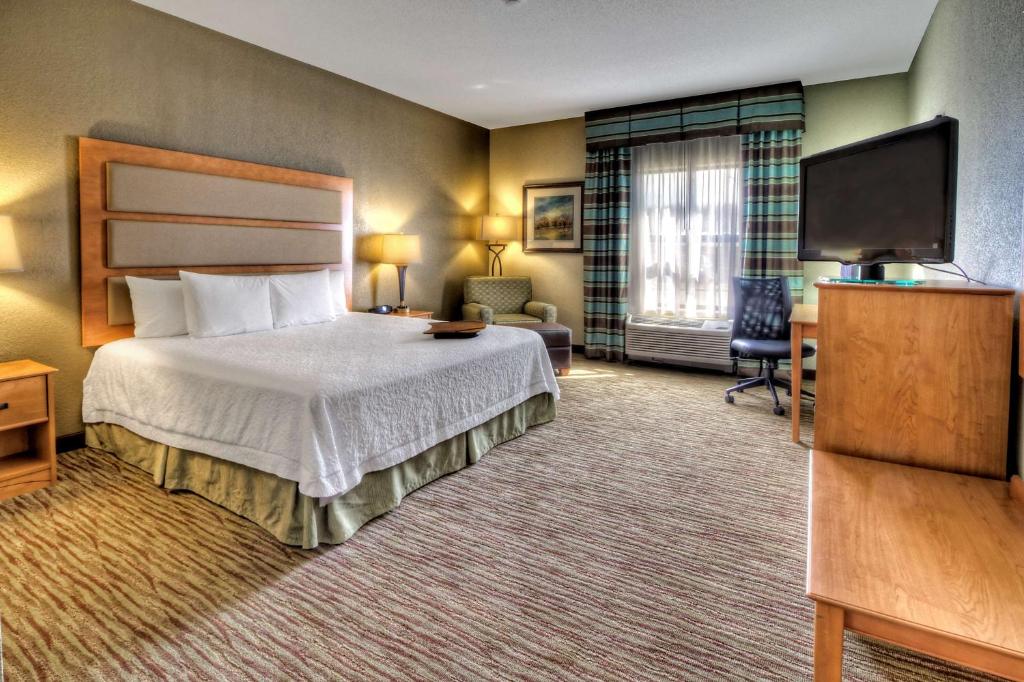 Hampton Inn & Suites Kalamazoo-Oshtemo - Suíte Estúdio King - Não Fumantes