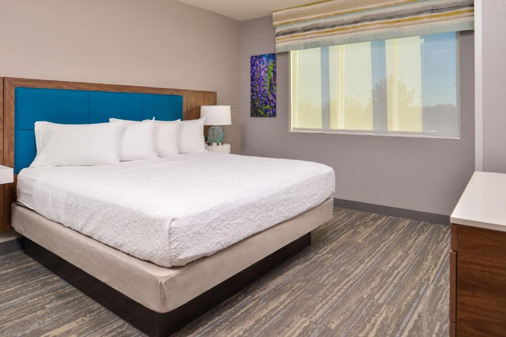 Hampton Inn & Suites Boise/Spectrum - Suite King De Luxe