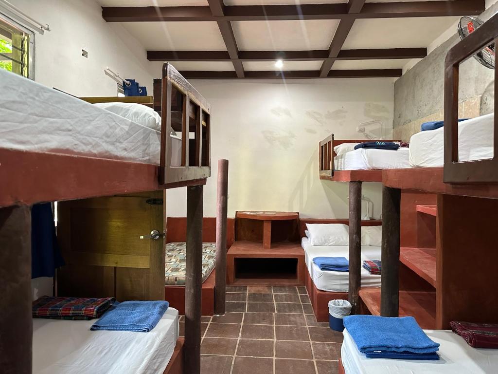 a room with a bunch of bunk beds at Out Back Zapote in Flores