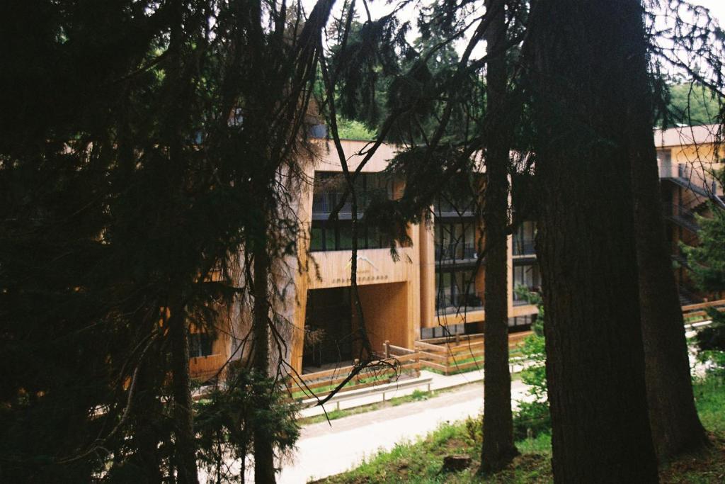 a building in the middle of some trees at Apartment Kokhta-Mitarbi B3 408 in Bakuriani