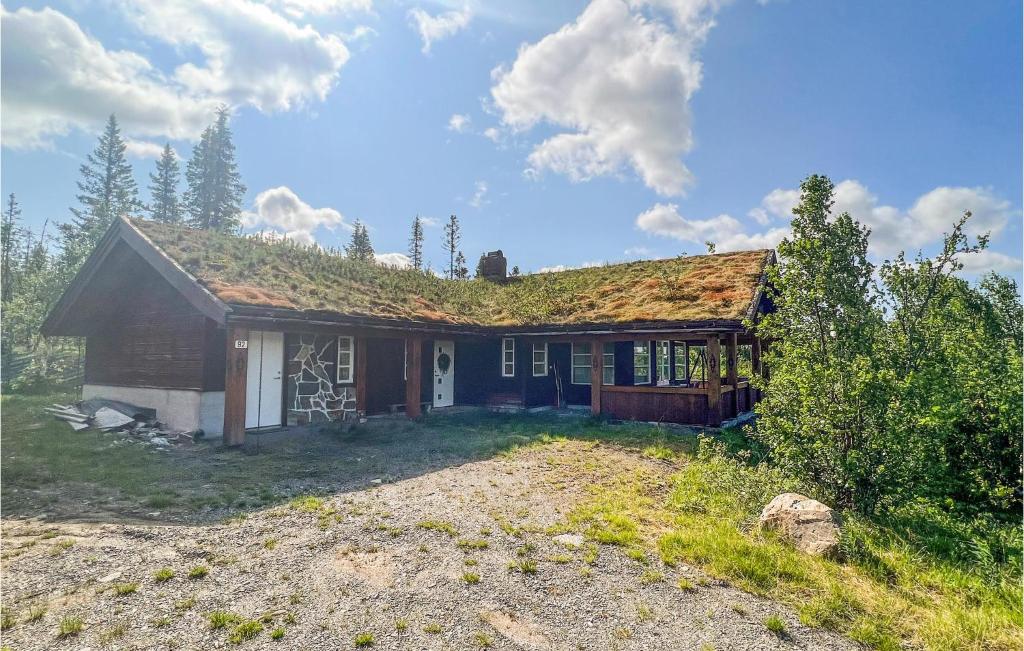 a house with a grass roof on top of it at 4 Bedroom Gorgeous Home In Nord-Torpa in Nord Torpa