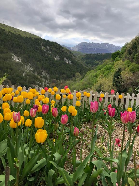 Príroda v okolí apartmánu