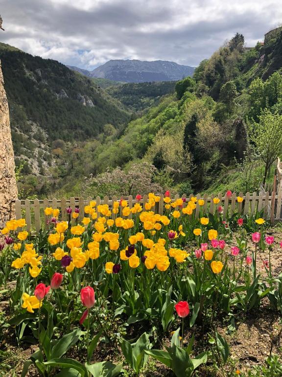 Príroda v okolí apartmánu