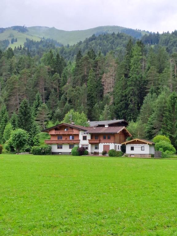 a house in a field in front of a mountain at Haus Oberautal in Achenkirch