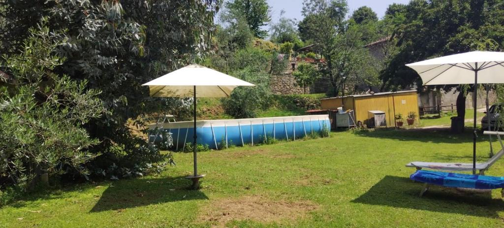 dos sombrillas blancas en un patio con piscina en La Casa del Nonno - Tiny House en Reggello