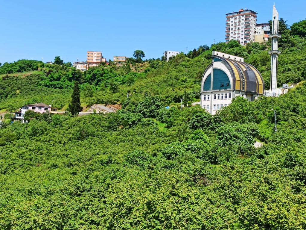 a green hill with a building on top of it at Local Home in Çağlayan