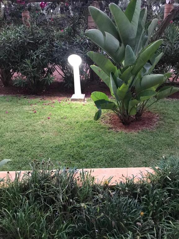 een tuin met een kleine plant en een paal in het gras bij BOUZNIKA BAY COUNTRY CLUB in Bouznika