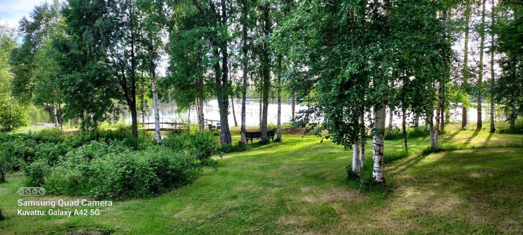 a park with a bench and trees in the grass at Lintukoto in Ylikiiminki