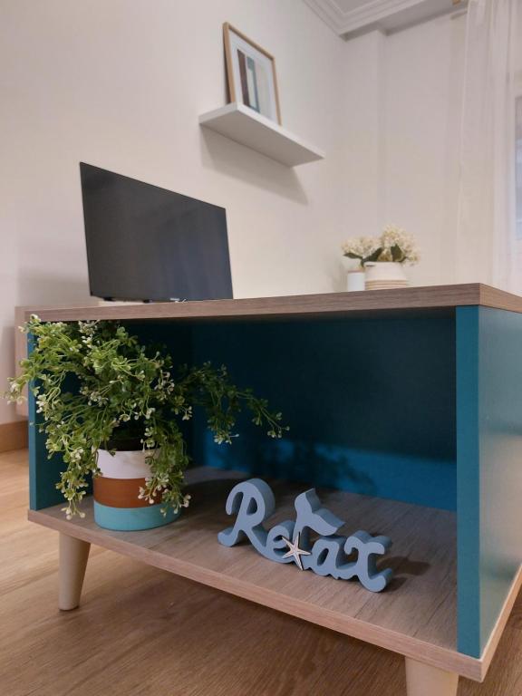 a desk with a tv and some plants on it at Apartamento Brisa de Santander in Santander