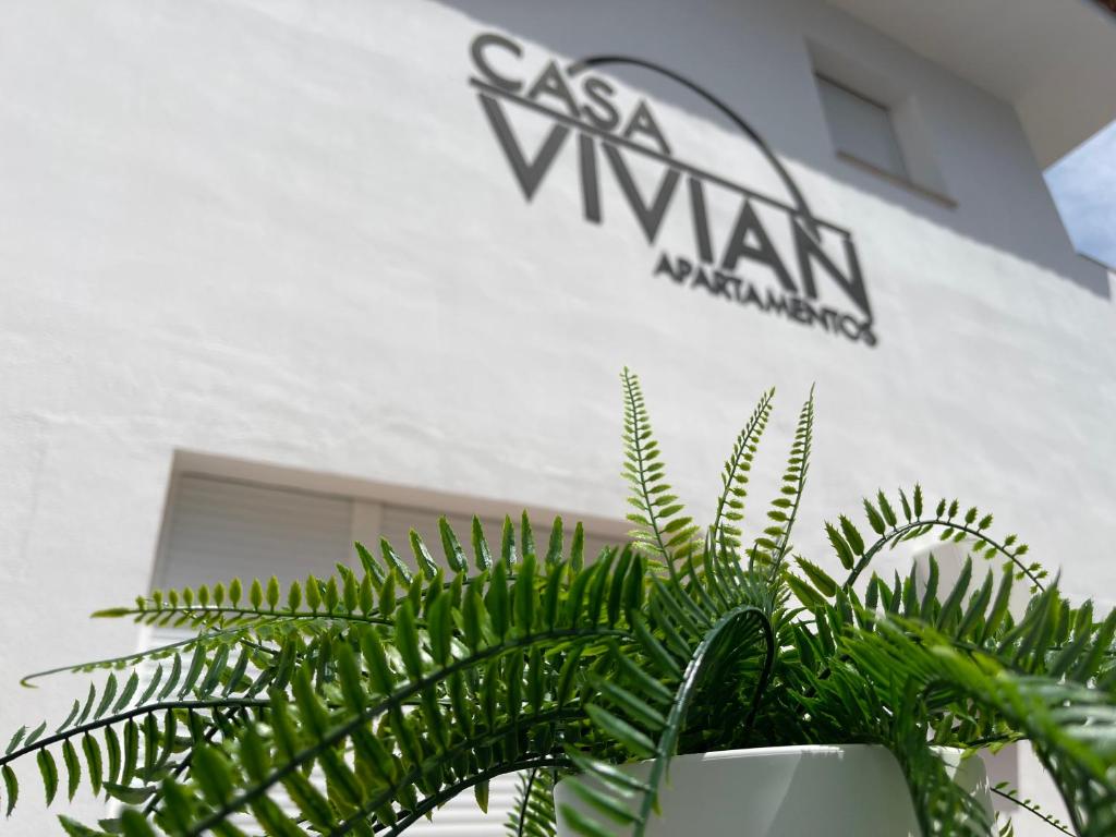 une plante verte dans un pot blanc devant un bâtiment dans l'établissement Apartamento Casa Vivian, à Mérida