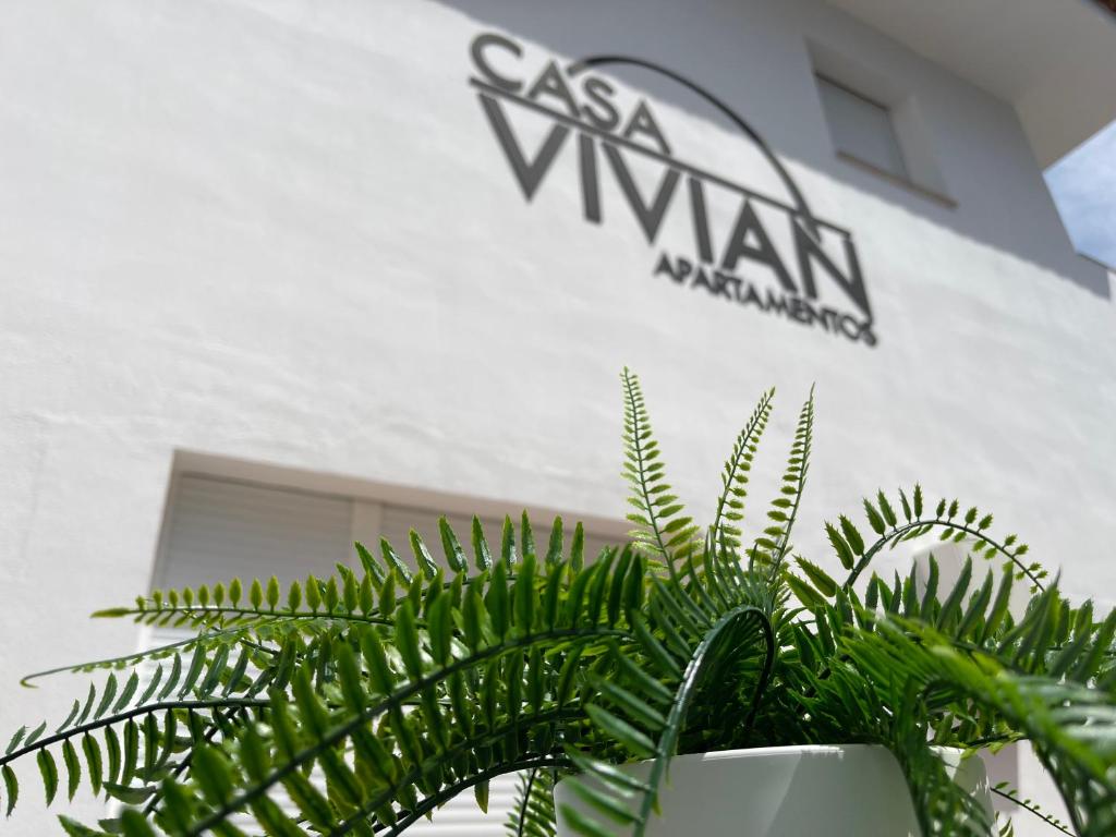 a green plant in a white pot in front of a building at Apartamento Casa Vivian in Merida