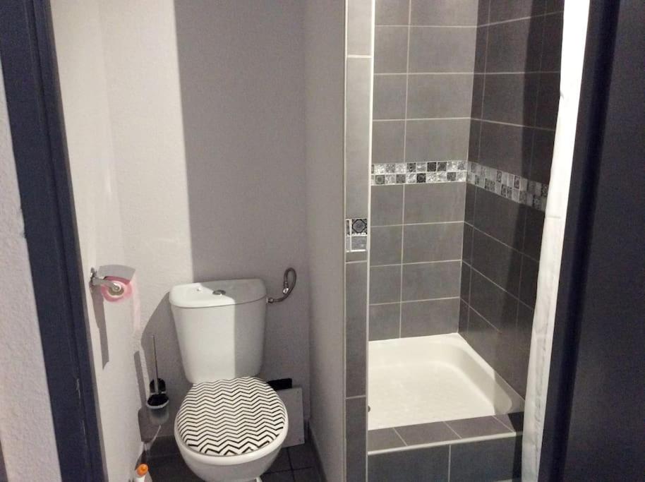 mała łazienka z toaletą i prysznicem w obiekcie Maisonnette eau turquoise w Argelès-sur-Mer