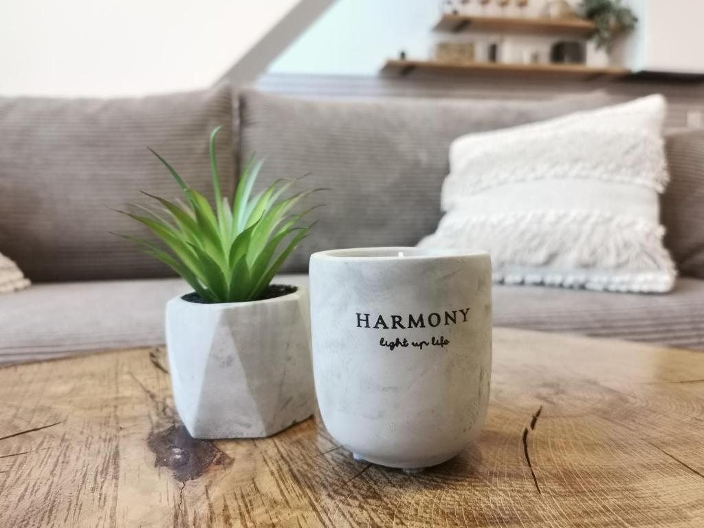 two white vases sitting on a wooden table with a plant at Harmony Apartment in Ostróda