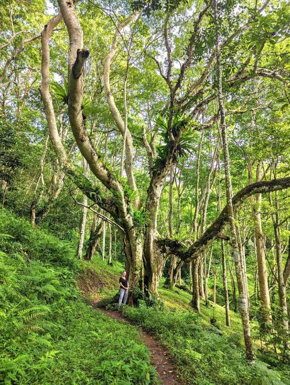 Paesaggio naturale nelle vicinanze dell'ostello